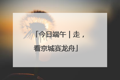 今日端午｜走，看京城赛龙舟