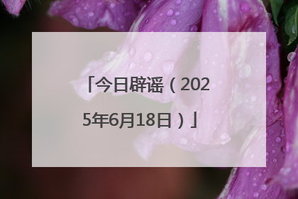 今日辟谣（2025年6月18日）