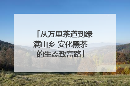 从万里茶道到绿满山乡 安化黑茶的生态致富路
