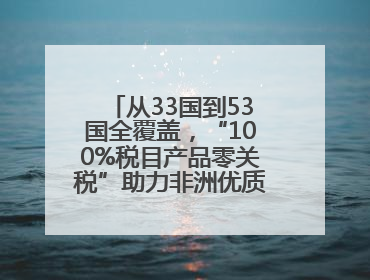 从33国到53国全覆盖，“100%税目产品零关税”助力非洲优质商品入华