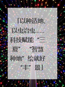 以种适地、以虫治虫……科技赋能“三夏” “智慧种地”绘就好“丰”景