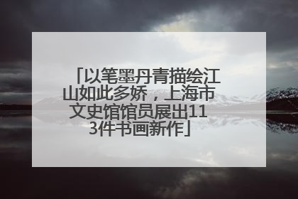 以笔墨丹青描绘江山如此多娇，上海市文史馆馆员展出113件书画新作