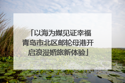 以海为媒见证幸福 青岛市北区邮轮母港开启浪漫婚旅新体验