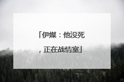 伊媒：他没死，正在战情室