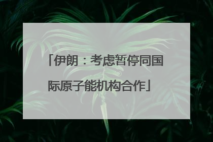 伊朗：考虑暂停同国际原子能机构合作