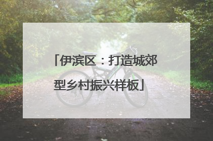 伊滨区：打造城郊型乡村振兴样板