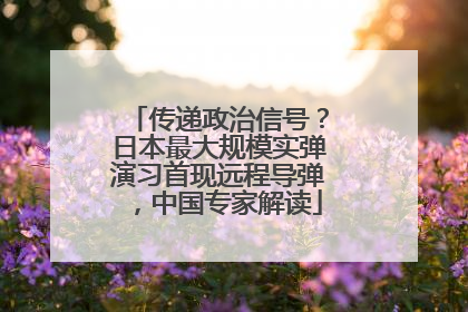 传递政治信号？日本最大规模实弹演习首现远程导弹，中国专家解读