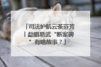 司法护航云茶芬芳丨勐腊易武“断案碑”有啥故事？