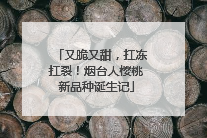 又脆又甜，扛冻扛裂！烟台大樱桃新品种诞生记
