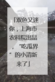 双色又迷你，上海市农科院出品，“吃瓜界”的小清新来了