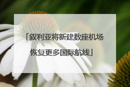 叙利亚将新建数座机场 恢复更多国际航线