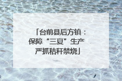 台前县后方镇：保障“三夏”生产 严抓秸秆禁烧