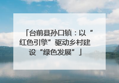 台前县孙口镇：以“红色引擎”驱动乡村建设“绿色发展”