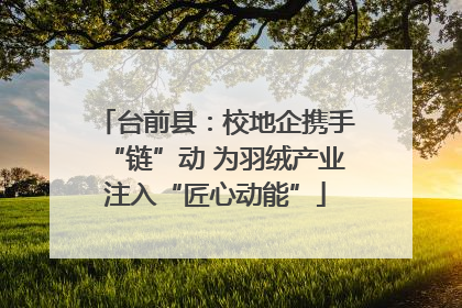 台前县：校地企携手“链”动 为羽绒产业注入“匠心动能”