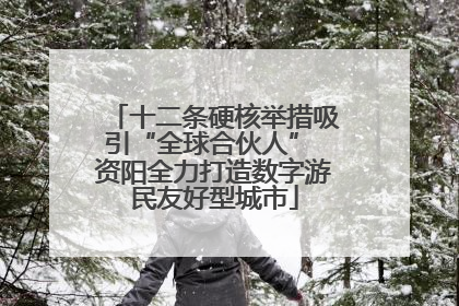 十二条硬核举措吸引“全球合伙人” 资阳全力打造数字游民友好型城市
