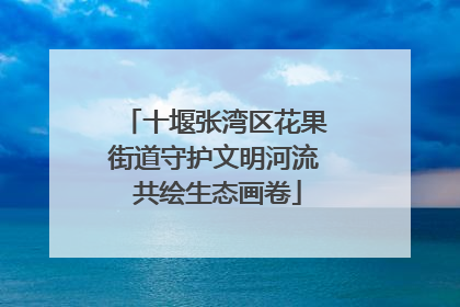 十堰张湾区花果街道守护文明河流 共绘生态画卷
