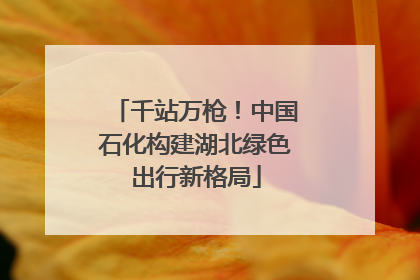 千站万枪！中国石化构建湖北绿色出行新格局