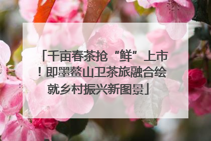 千亩春茶抢“鲜”上市！即墨鳌山卫茶旅融合绘就乡村振兴新图景