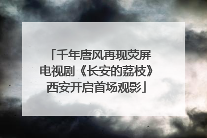 千年唐风再现荧屏 电视剧《长安的荔枝》西安开启首场观影