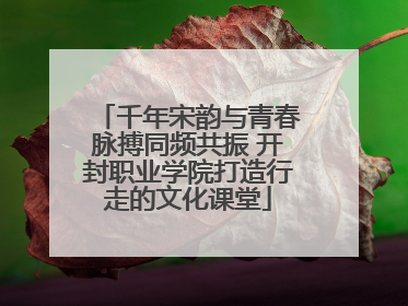 千年宋韵与青春脉搏同频共振 开封职业学院打造行走的文化课堂