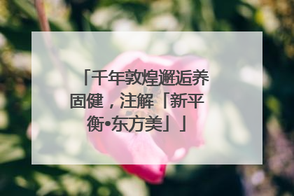 千年敦煌邂逅养固健，注解「新平衡•东方美」