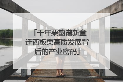 千年栗韵谱新章 迁西板栗高质发展背后的产业密码