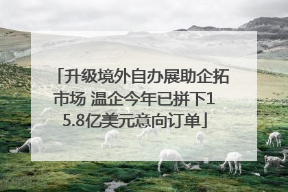 升级境外自办展助企拓市场 温企今年已拼下15.8亿美元意向订单