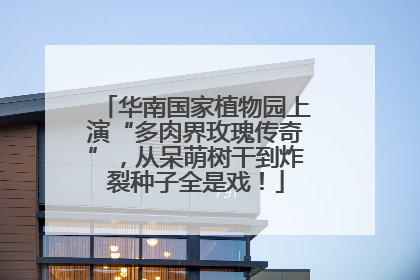 华南国家植物园上演“多肉界玫瑰传奇”，从呆萌树干到炸裂种子全是戏！