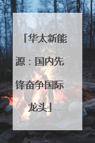 华太新能源：国内先锋奋争国际龙头