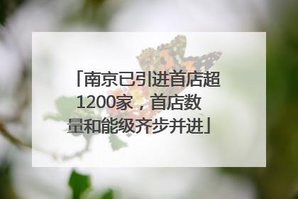 南京已引进首店超1200家，首店数量和能级齐步并进