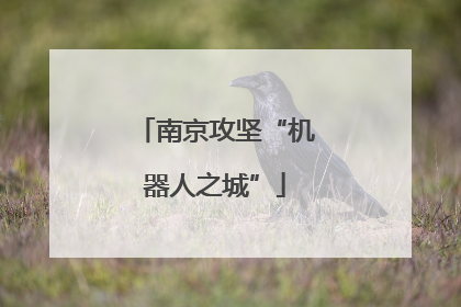 南京攻坚“机器人之城”