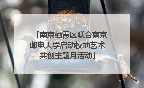 南京栖霞区联合南京邮电大学启动校地艺术共创主题月活动