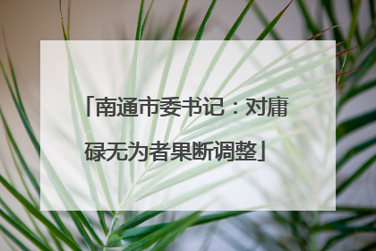 南通市委书记：对庸碌无为者果断调整