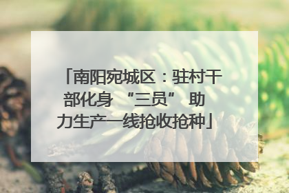 南阳宛城区：驻村干部化身 “三员” 助力生产一线抢收抢种