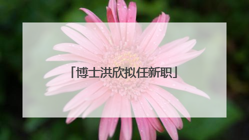 博士洪欣拟任新职