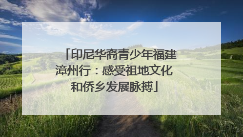印尼华裔青少年福建漳州行：感受祖地文化和侨乡发展脉搏