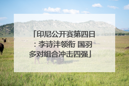 印尼公开赛第四日：李诗沣领衔 国羽多对组合冲击四强