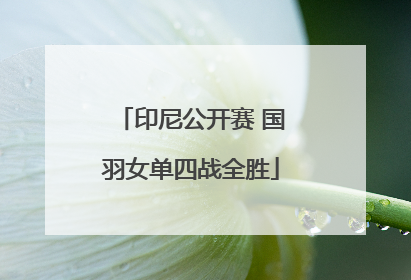 印尼公开赛 国羽女单四战全胜