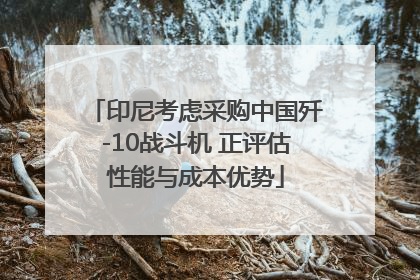 印尼考虑采购中国歼-10战斗机 正评估性能与成本优势