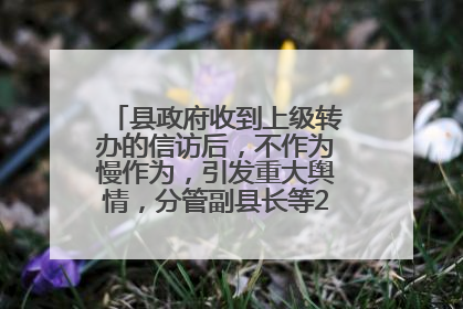 县政府收到上级转办的信访后，不作为慢作为，引发重大舆情，分管副县长等25人被处理
