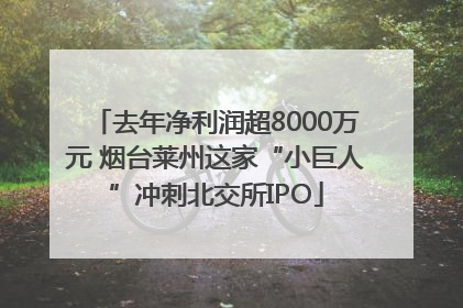 去年净利润超8000万元 烟台莱州这家“小巨人”冲刺北交所IPO