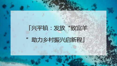 兴平镇：发放“致富羊”助力乡村振兴启新程