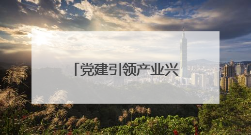 党建引领产业兴，紫云小湾村从 “靠天吃饭” 到 “抱团生金”