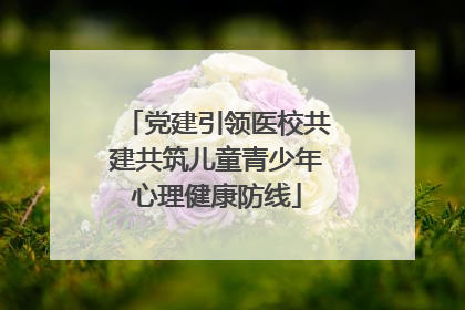 党建引领医校共建共筑儿童青少年心理健康防线
