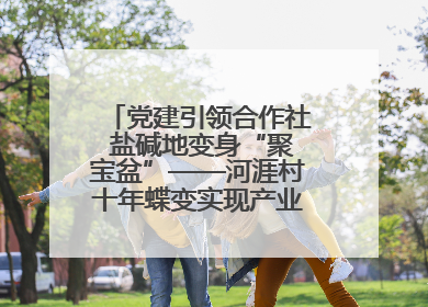 党建引领合作社 盐碱地变身“聚宝盆”——河涯村十年蝶变实现产业兴村群众富