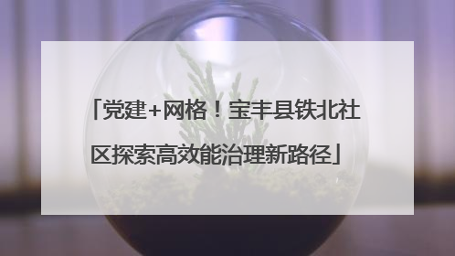 党建+网格！宝丰县铁北社区探索高效能治理新路径