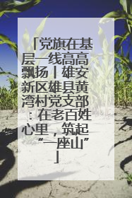 党旗在基层一线高高飘扬丨雄安新区雄县黄湾村党支部：在老百姓心里，筑起“一座山”