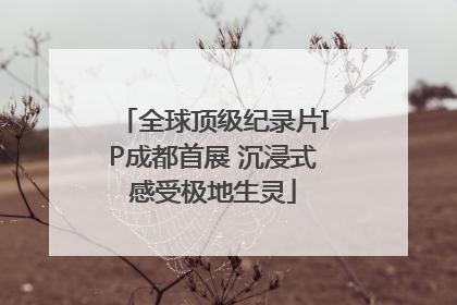 全球顶级纪录片IP成都首展 沉浸式感受极地生灵
