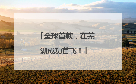 全球首款，在芜湖成功首飞！