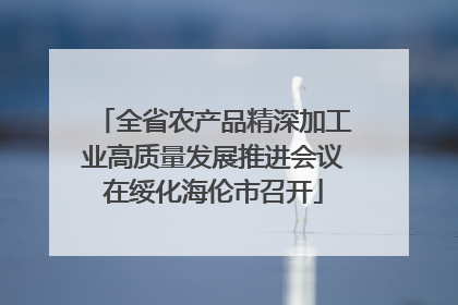 全省农产品精深加工业高质量发展推进会议在绥化海伦市召开